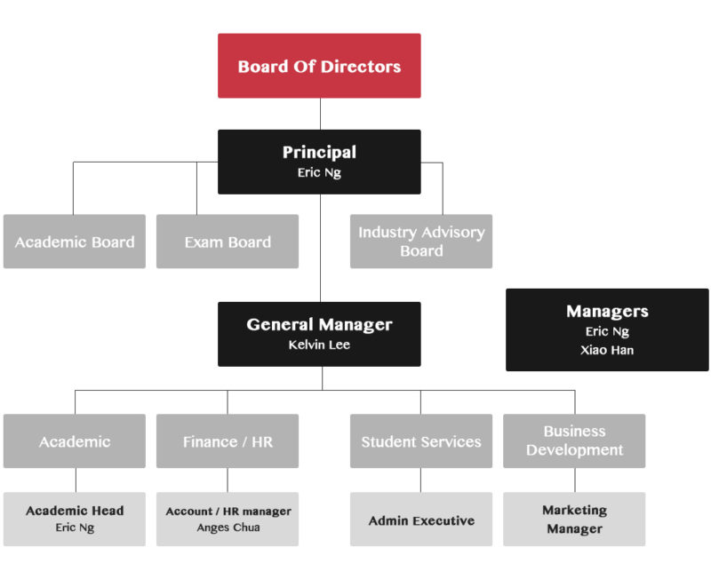 board-of-directors board-of-directors